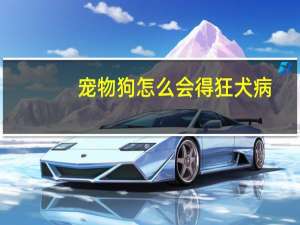宠物狗怎么会得狂犬病