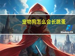 宠物狗怎么会长跳蚤