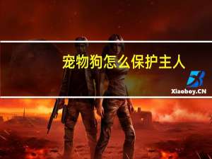 宠物狗怎么保护主人