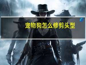 宠物狗怎么修剪头型