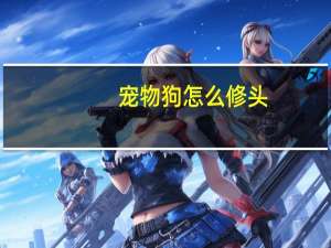 宠物狗怎么修头