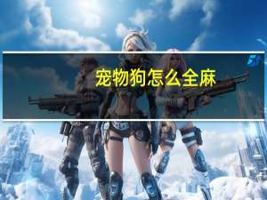 宠物狗怎么全麻