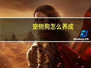 宠物狗怎么养成
