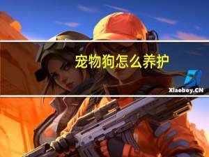 宠物狗怎么养护