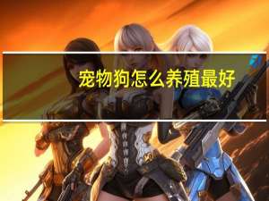 宠物狗怎么养殖最好