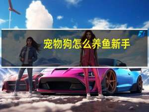 宠物狗怎么养鱼新手