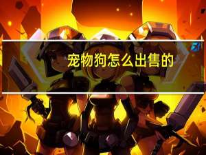 宠物狗怎么出售的