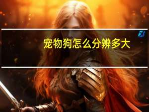 宠物狗怎么分辨多大