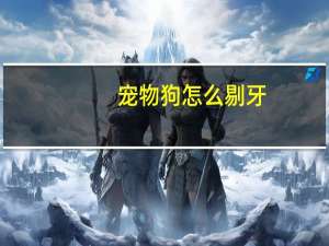 宠物狗怎么剔牙