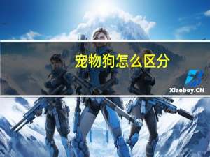 宠物狗怎么区分