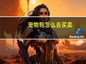 宠物狗怎么去买卖