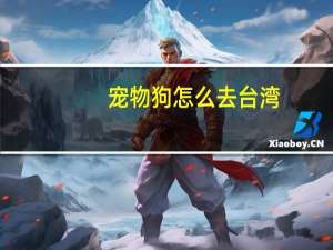 宠物狗怎么去台湾