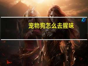 宠物狗怎么去腥味