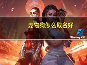 宠物狗怎么取名好