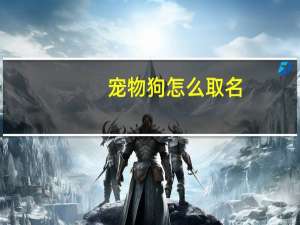 宠物狗怎么取名