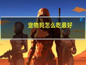 宠物狗怎么吃最好