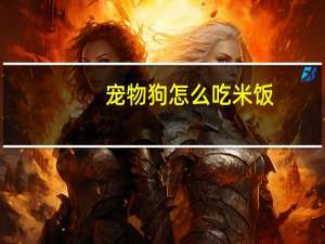 宠物狗怎么吃米饭