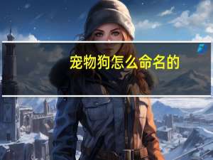 宠物狗怎么命名的