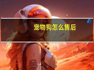 宠物狗怎么售后