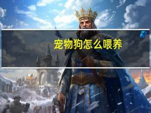 宠物狗怎么喂养