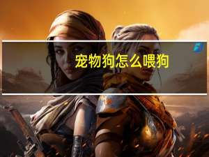 宠物狗怎么喂狗