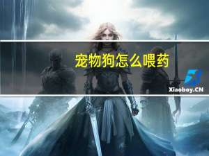 宠物狗怎么喂药