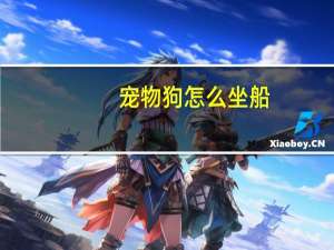 宠物狗怎么坐船