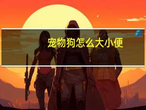 宠物狗怎么大小便