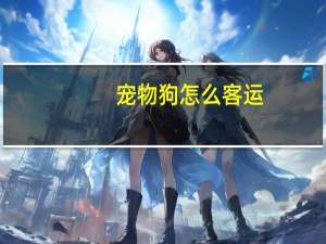宠物狗怎么客运