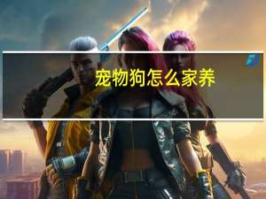 宠物狗怎么家养