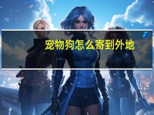 宠物狗怎么寄到外地