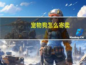 宠物狗怎么寄卖