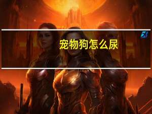 宠物狗怎么尿
