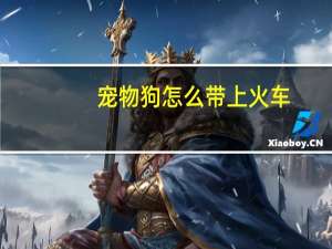 宠物狗怎么带上火车