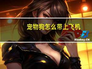 宠物狗怎么带上飞机