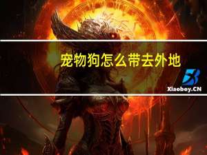 宠物狗怎么带去外地