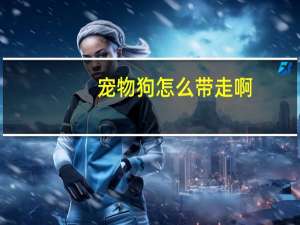 宠物狗怎么带走啊