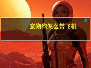 宠物狗怎么带飞机