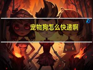 宠物狗怎么快递啊