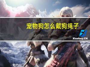 宠物狗怎么戴狗绳子