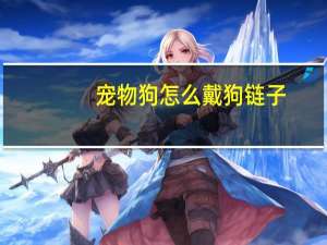 宠物狗怎么戴狗链子