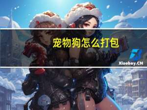 宠物狗怎么打包