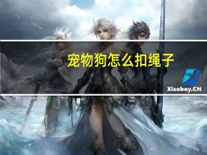 宠物狗怎么扣绳子