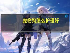 宠物狗怎么护理好