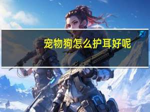 宠物狗怎么护耳好呢