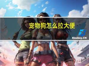 宠物狗怎么拉大便