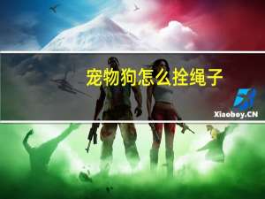 宠物狗怎么拴绳子