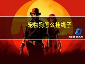 宠物狗怎么挂绳子