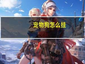 宠物狗怎么挂