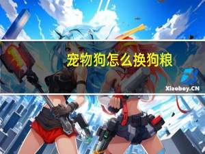 宠物狗怎么换狗粮